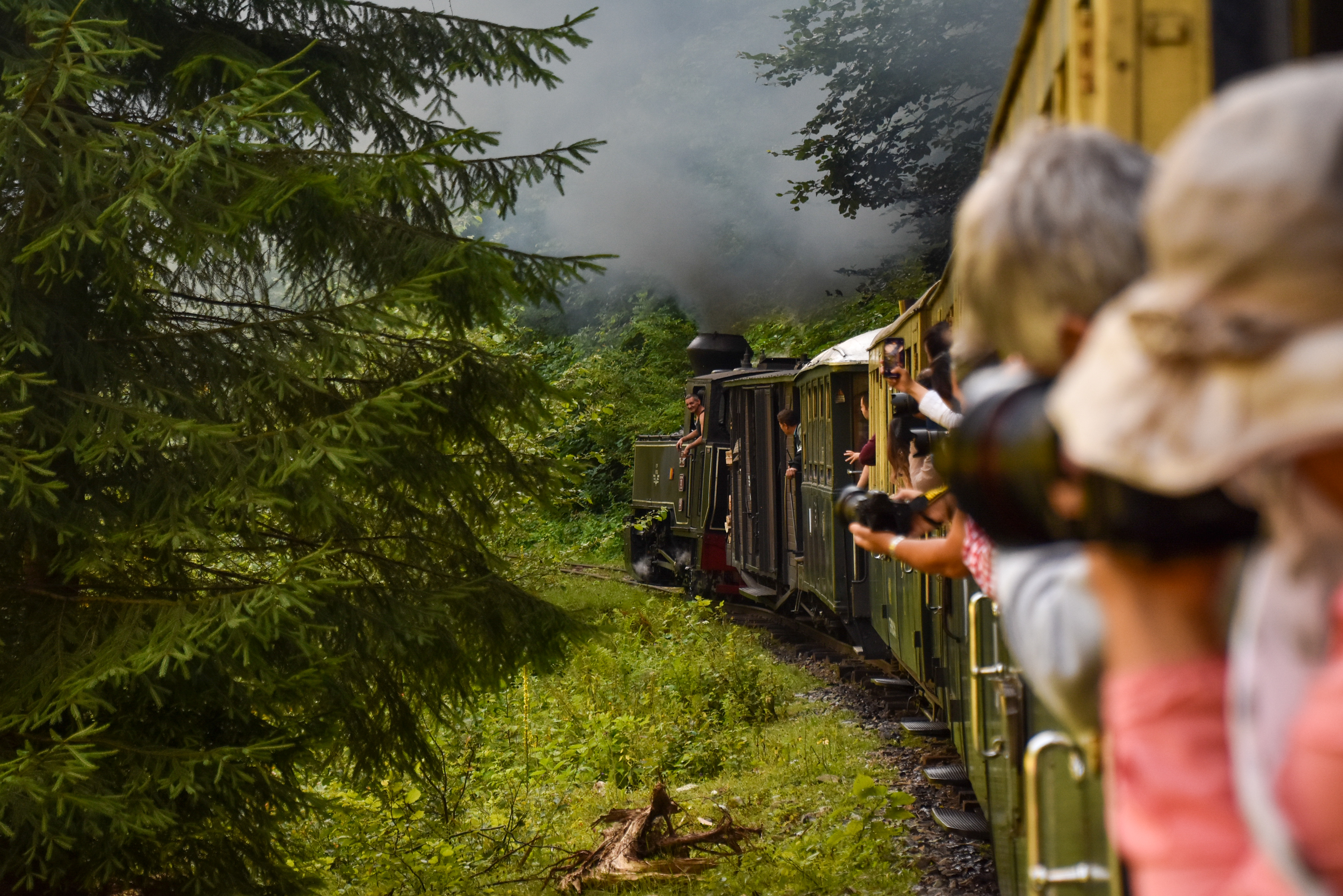12. The Steam Train on Vaser Valley
