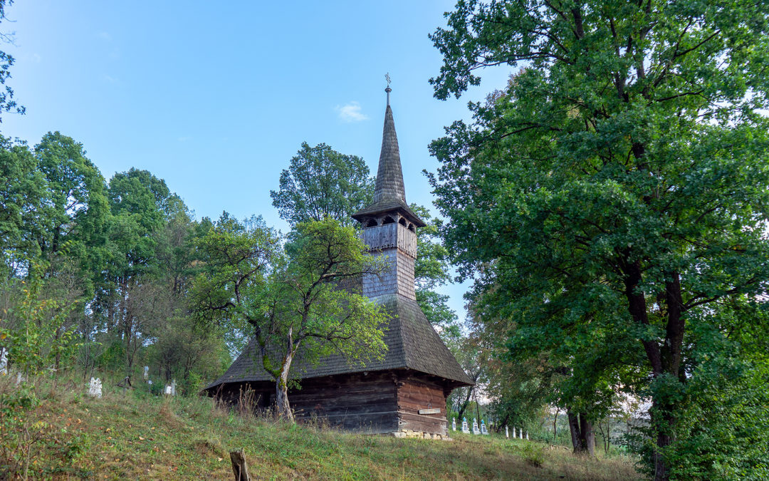 The wooden church "Entrance to the Church" from Dobricu Lăpușului 