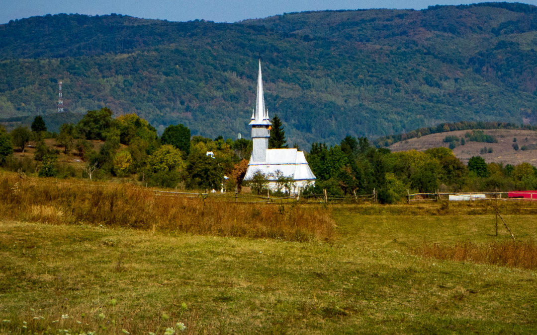The church "The Birth of the Holy Mary" from Vălenii Lăpușului 
