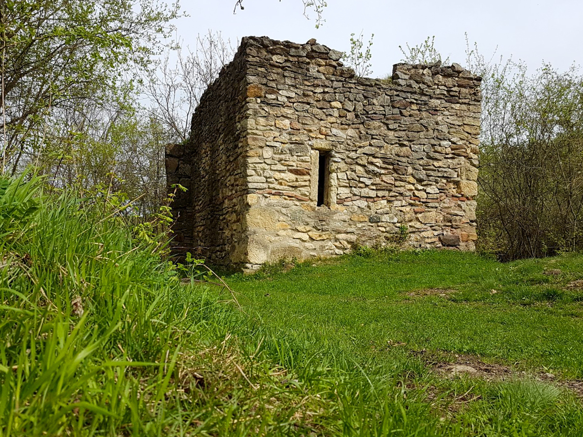 Cetatea Chioarului din Berchezoaia