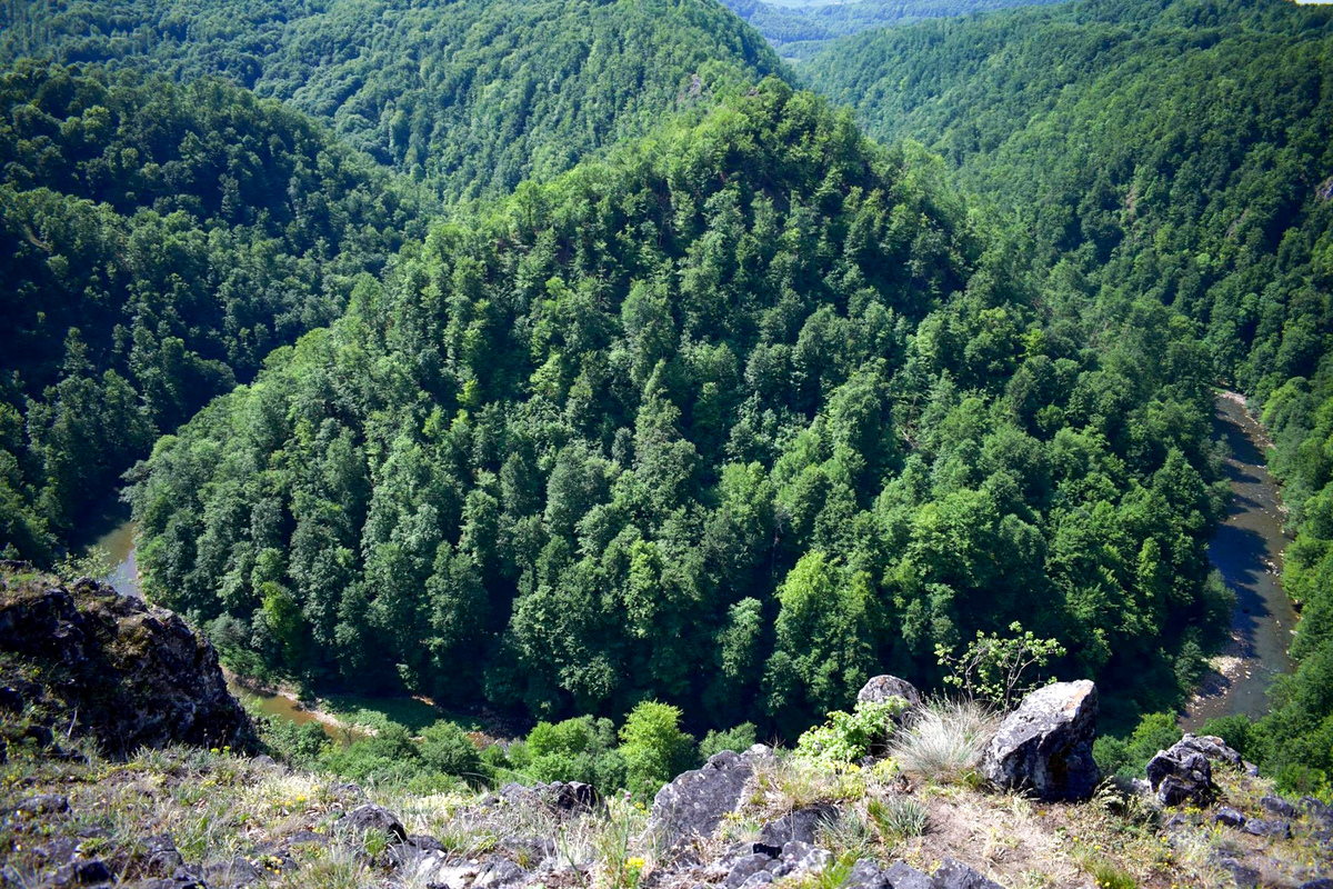The Lăpuș Gorge