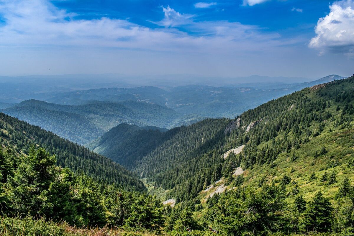 The Țibleș Mountains